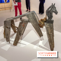 Exposition Henry Taylor au Musée Picasso - IMG 6008