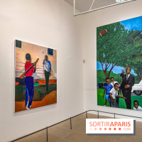 Exposition Henry Taylor au Musée Picasso - IMG 6108