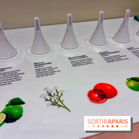Paris Perfume Week