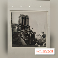 Lee Miller : une exposition consacrée à la photographe américaine au Musée d’Art Moderne de Paris