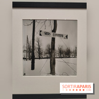 Lee Miller : une exposition consacrée à la photographe américaine au Musée d’Art Moderne de Paris