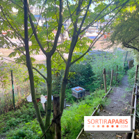 Shakirail, le lieu de travail avec programmation dédiée à la création émergente à Paris - IMG 7125