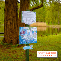 Château de Courson et son domaine : Parc Botanique et Jardin Remarquable en Région Parisienne  - A7C02966