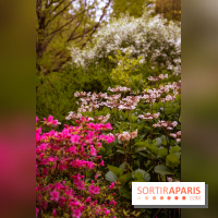 Château de Courson et son domaine : Parc Botanique et Jardin Remarquable en Région Parisienne  - A7C02953