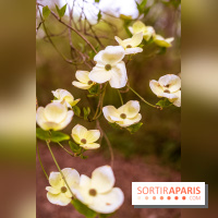Château de Courson et son domaine : Parc Botanique et Jardin Remarquable en Région Parisienne  - A7C02947