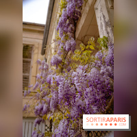 Château de Courson et son domaine : Parc Botanique et Jardin Remarquable en Région Parisienne  - A7C03026