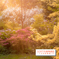 Château de Courson et son domaine : Parc Botanique et Jardin Remarquable en Région Parisienne  - A7C02951 Edit