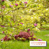 Château de Courson et son domaine : Parc Botanique et Jardin Remarquable en Région Parisienne  - A7C02900