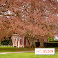 Château de Courson et son domaine : Parc Botanique et Jardin Remarquable en Région Parisienne  - A7C02880