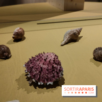 Explorateurs, une exposition du musée de l'armée