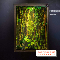 Exposition Frontière à la Cité des sciences : comprendre les frontières dans le monde - IMG 6393