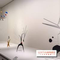 Calder. Rêver en Équilibre : l'exposition retrospective du  - IMG 3105