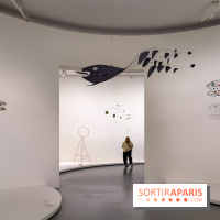 Calder. Rêver en Équilibre : l'exposition retrospective du  - IMG 3136