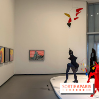 Calder. Rêver en Équilibre : l'exposition retrospective du  - IMG 3262