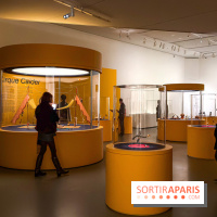 Calder. Rêver en Équilibre : l'exposition retrospective du  - IMG 2768