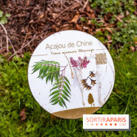 Le Château de Buc et son superbe domaine, parc paysagé aux nombreux trésors