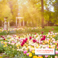 Le Château de Buc et son superbe domaine, parc paysagé aux nombreux trésors - A7C03157 Edit