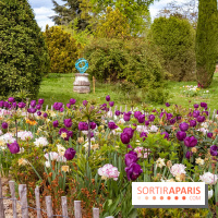 Le Château de Buc et son superbe domaine, parc paysagé aux nombreux trésors