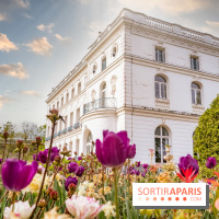 Le Château de Buc et son superbe domaine, parc paysagé aux nombreux trésors