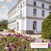 Le Château de Buc et son superbe domaine, parc paysagé aux nombreux trésors - copie