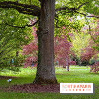 Le Château de Buc et son superbe domaine, parc paysagé aux nombreux trésors