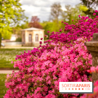 Parc et Jardins du Château de Fontainebleau - les photos  - A7C04486