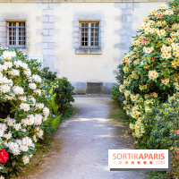 Parc et Jardins du Château de Fontainebleau - les photos
