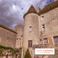 Château Musées de Nemours en Seine-et-Marne - photos - A7C04855