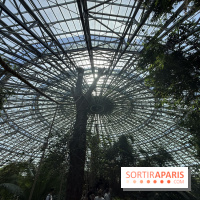 ZooParc de Beauval et Hôtel Les Pagodes de Beauval - IMG 5633