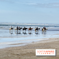 Hôtel Barrière Le Royal Deauville : l’adresse romantique pour un week-end à deux