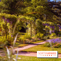 Le Parc des Ibis au Vésinet dans les Yvelines en Région Parisienne - photos  - A7200695