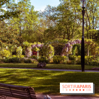 Le Parc des Ibis au Vésinet dans les Yvelines en Région Parisienne - photos  - A7200633