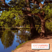 Le Parc des Ibis au Vésinet dans les Yvelines en Région Parisienne - photos  - A7200602