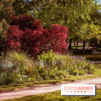 Le Parc des Ibis au Vésinet dans les Yvelines en Région Parisienne - photos  - A7200566