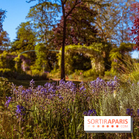 Le Parc des Ibis au Vésinet dans les Yvelines en Région Parisienne - photos  - A7200591
