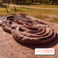 Le Parc des Ibis au Vésinet dans les Yvelines en Région Parisienne - photos  - A7200599