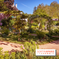 Le Parc des Ibis au Vésinet dans les Yvelines en Région Parisienne - photos  - A7200446