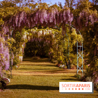 Le Parc des Ibis au Vésinet dans les Yvelines en Région Parisienne - photos  - A7200561