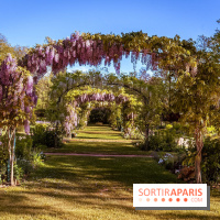 Le Parc des Ibis au Vésinet dans les Yvelines en Région Parisienne - photos  - A7200434