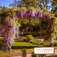 Le Parc des Ibis au Vésinet dans les Yvelines en Région Parisienne - photos  - A7200440
