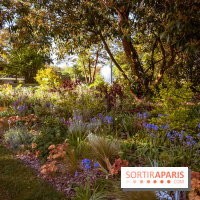 Le Parc des Ibis au Vésinet dans les Yvelines en Région Parisienne - photos  - A7200443
