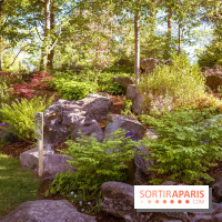 Le Parc des Ibis au Vésinet dans les Yvelines en Région Parisienne - photos  - A7200424