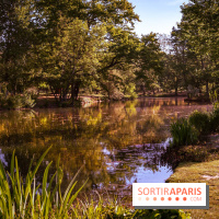 Le Parc des Ibis au Vésinet dans les Yvelines en Région Parisienne - photos  - A7200412