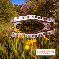 Le Parc des Ibis au Vésinet dans les Yvelines en Région Parisienne - photos  - A7200413