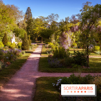 Le Parc des Ibis au Vésinet dans les Yvelines en Région Parisienne - photos  - A7200438