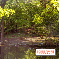 Le Parc des Ibis au Vésinet dans les Yvelines en Région Parisienne - photos  - A7200603