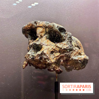 Préhistoire, entre utopie et réalité  - IMG 5558