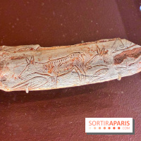 Préhistoire, entre utopie et réalité  - IMG 5569