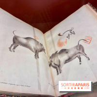 Préhistoire, entre utopie et réalité  - IMG 5581