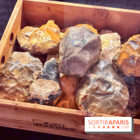 Préhistoire, entre utopie et réalité  - IMG 5589